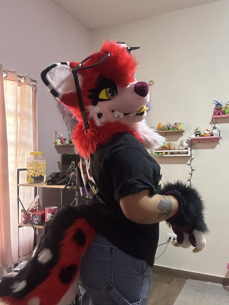 🤎Chocolate Raccoon🤎 🔜CONFUROR 2026🤎 tweet media