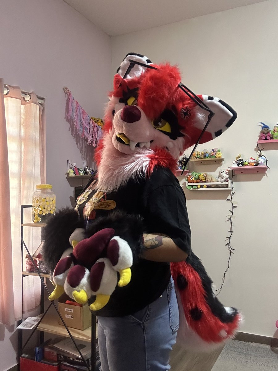 🤎Chocolate Raccoon🤎 🔜CONFUROR 2026🤎 tweet media