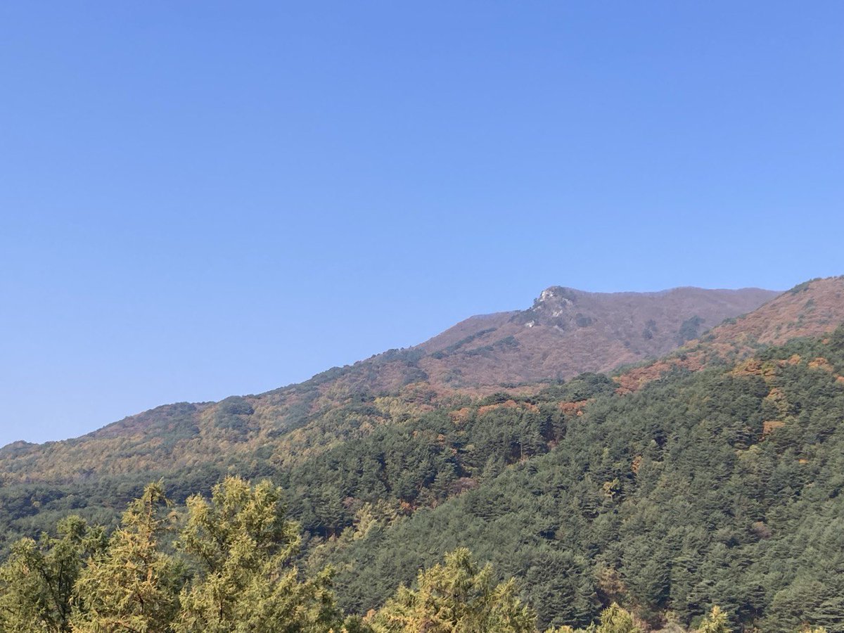 시사IN News Magazine tweet media