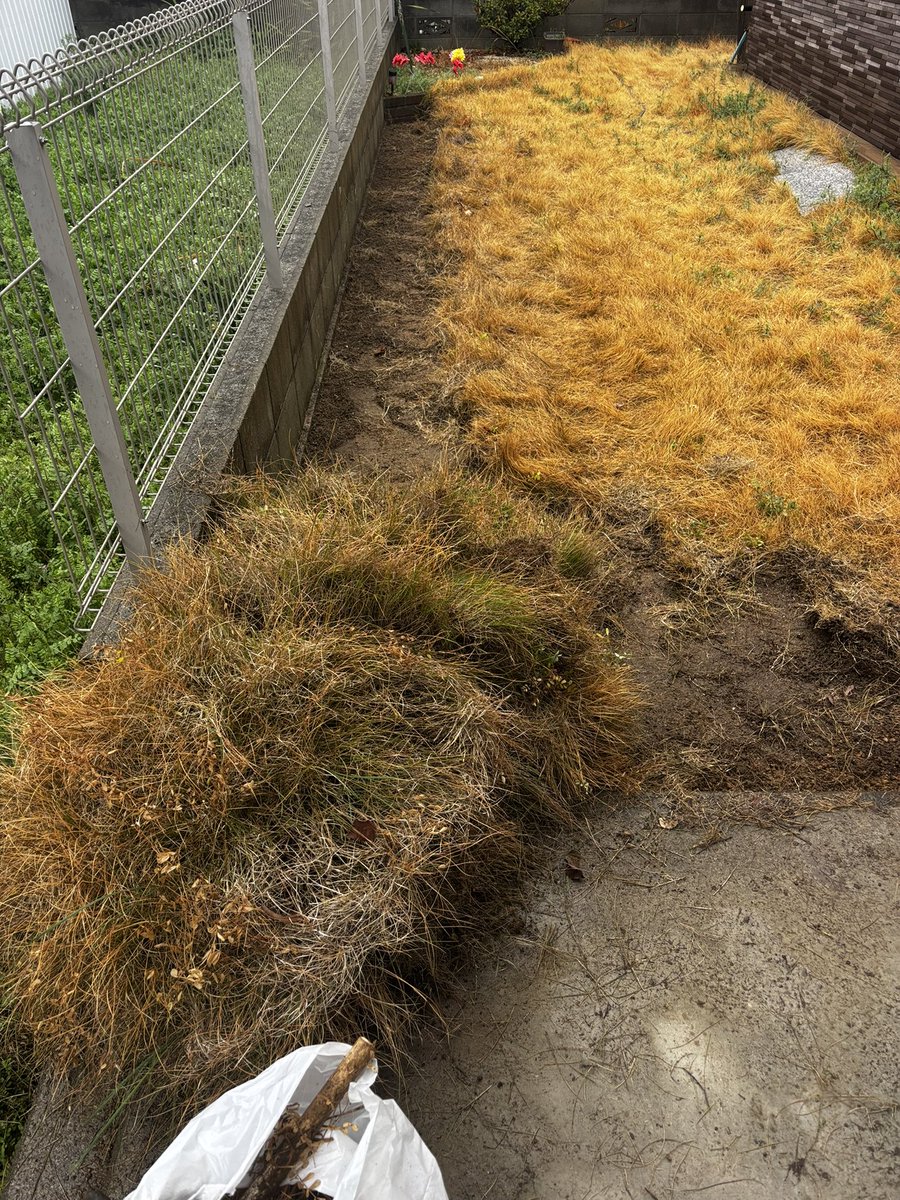 今日は香川県でお庭の仕事

ここがどうなったかは今日には

ある程度完成するかな✨