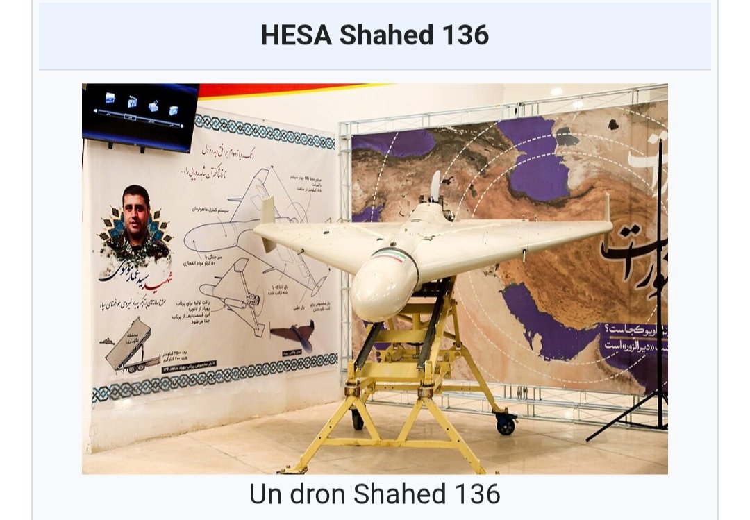 alrighetti tweet media