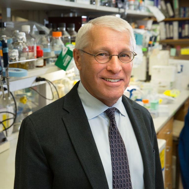 Prostate Cell News tweet media