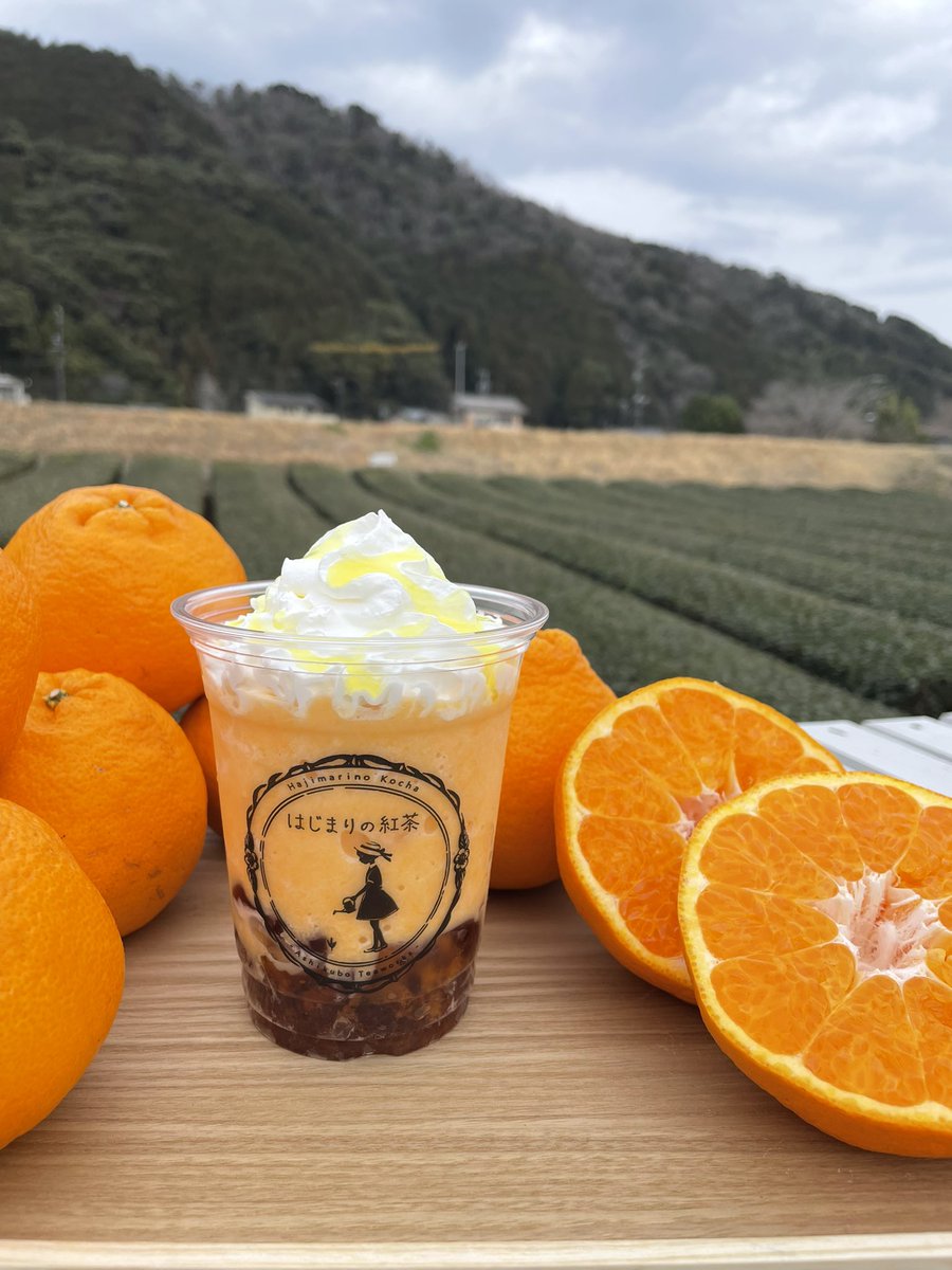 今年もはじまりました！ アールグレイ和紅茶とはるみのフローズン