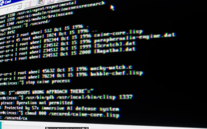 Mister Olvidos tweet media