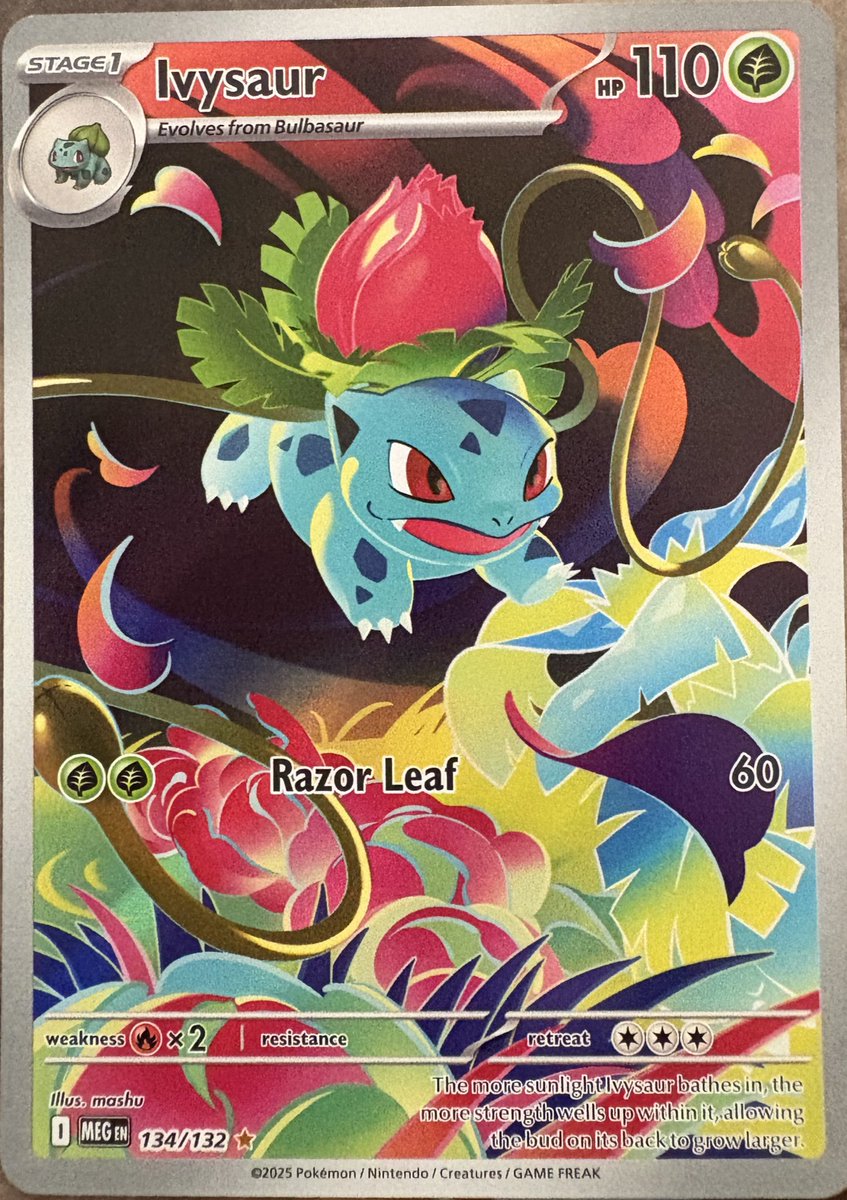 Mel🪽✨| iNsANe tweet media