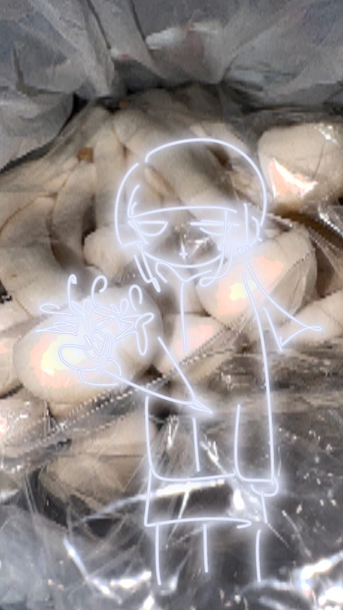 キラキラ　マグマ tweet media