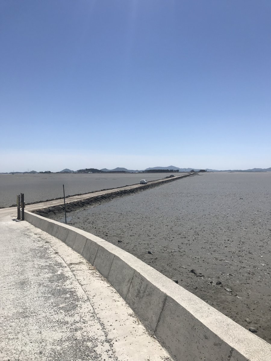 William Fitzpatrick tweet media