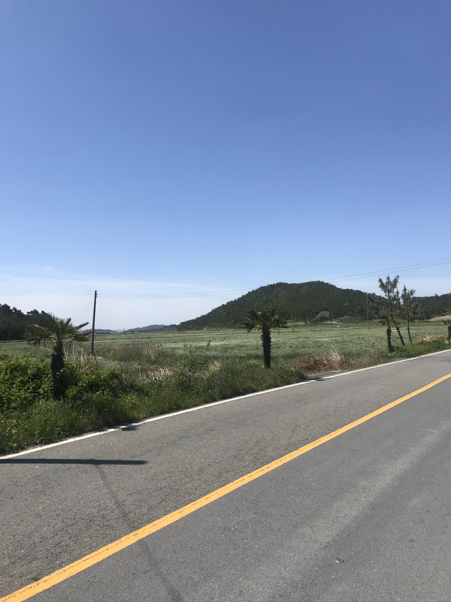 William Fitzpatrick tweet media