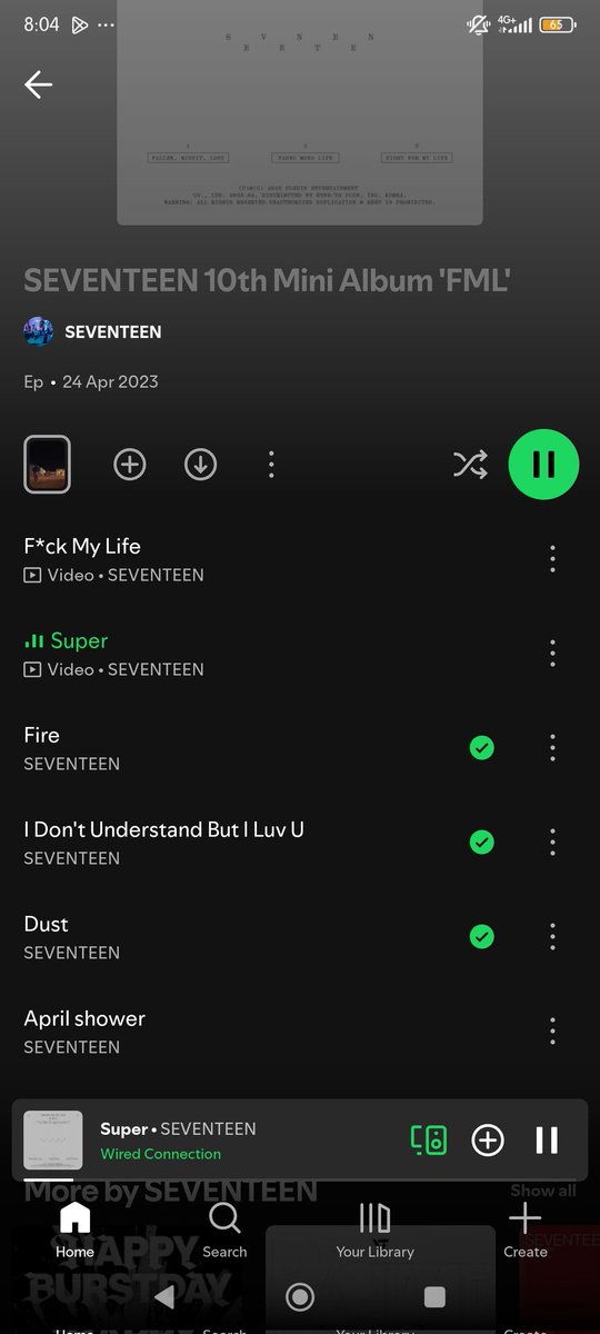 TheLionhasWon tweet media