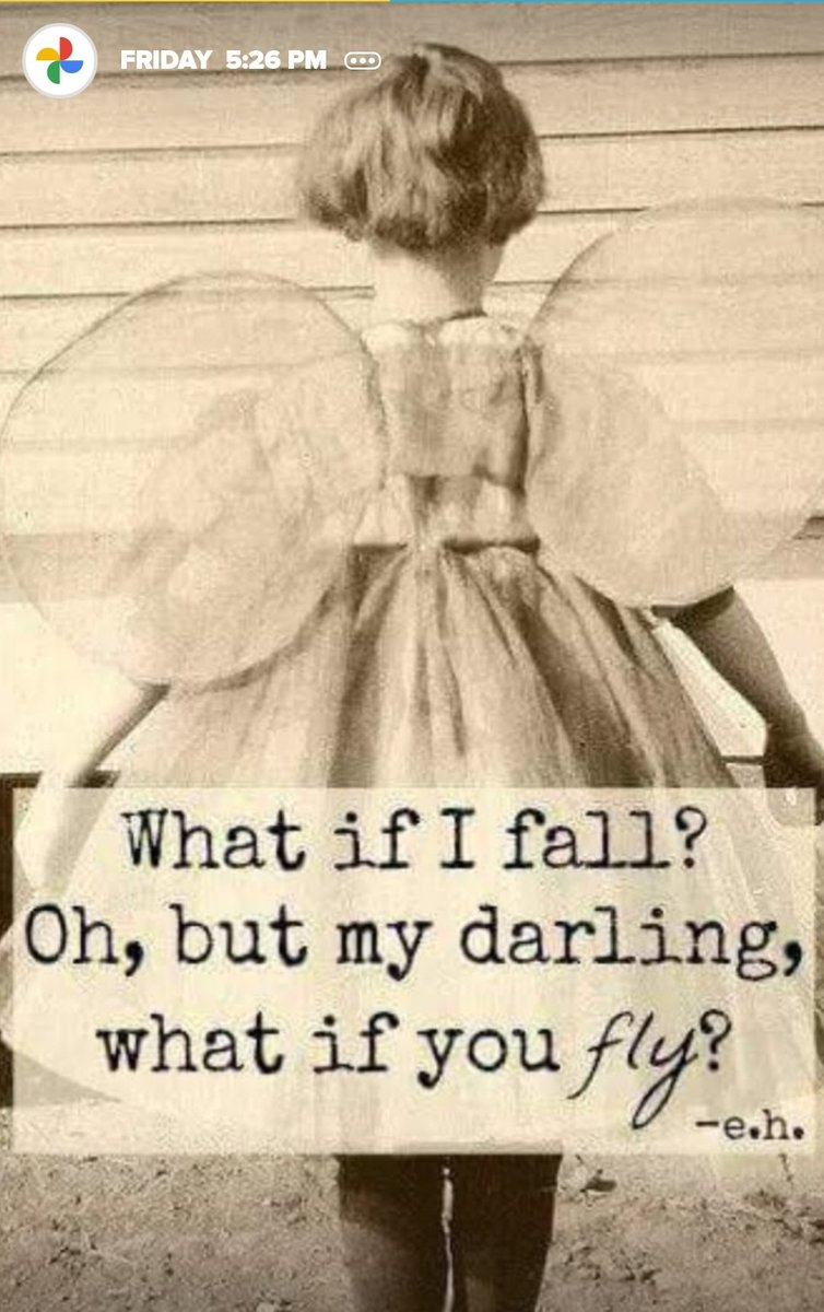 Don't be afraid to fly!
