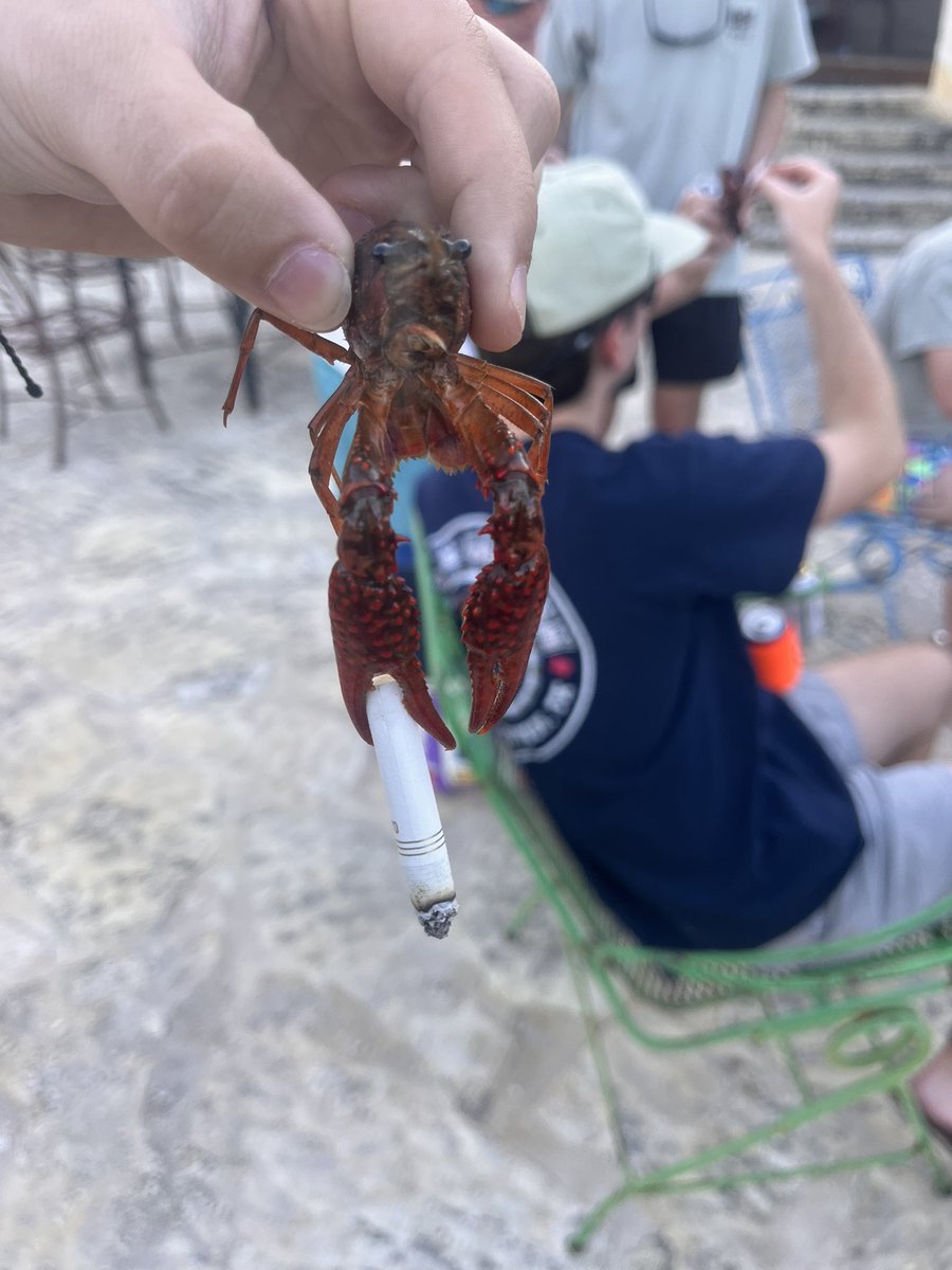 Mark Lang tweet media