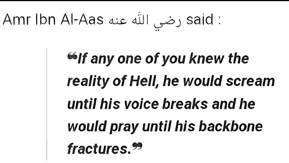 Mohammed tweet media