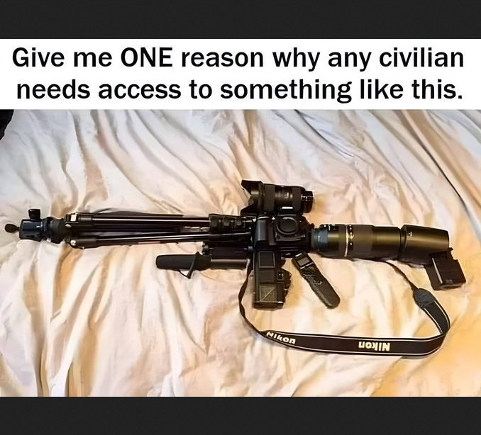 Maga Nadine tweet media