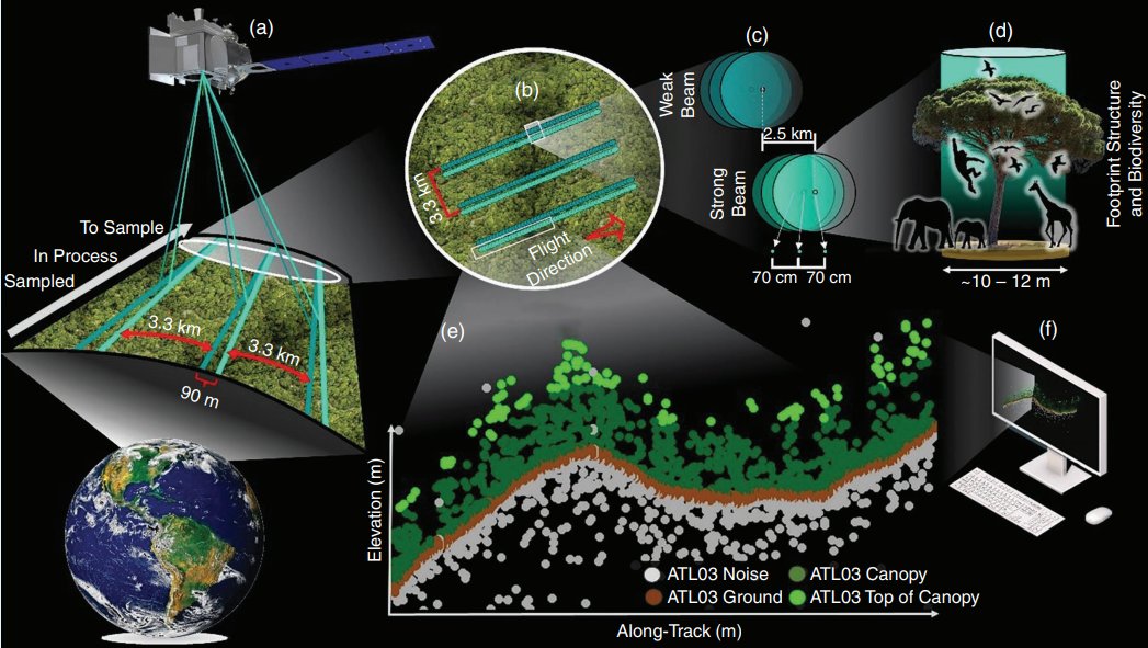 inaciotbueno's tweet photo. 📢 Silva et al. present “Beyond Ice: NASA’s ICESat-2 spaceborne lidar mission for land and vegetation applications” 

A must-read review highlighting how @NASAEarth  ICESat-2 is transforming our ability to map Earth’s surface!

Read it here: https://t.co/10xK6HZoUu https://t.co/gWEgruDKFO