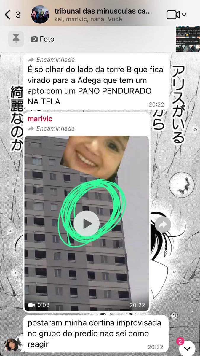 catarina tweet media