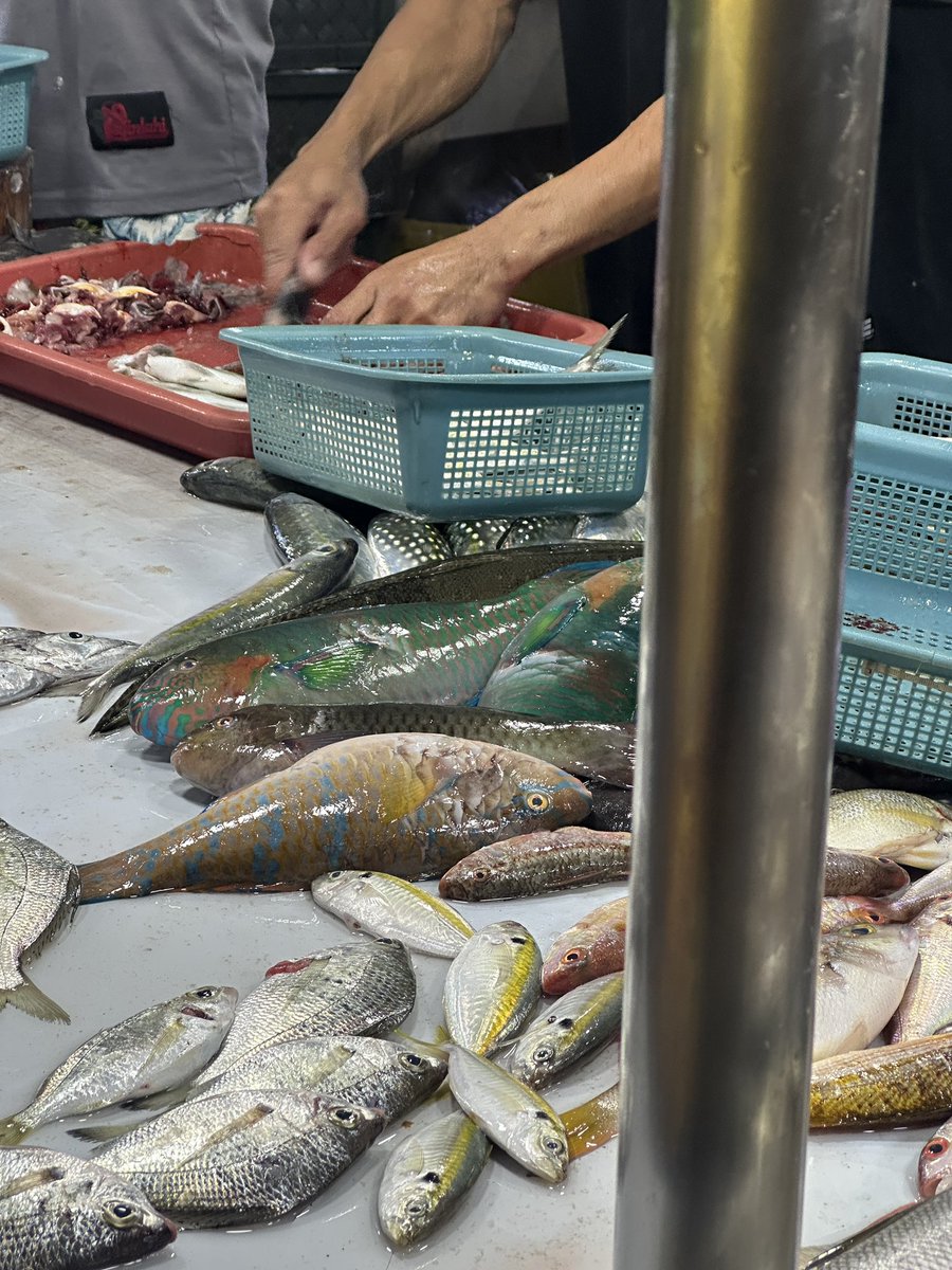 Paolooooo tweet media