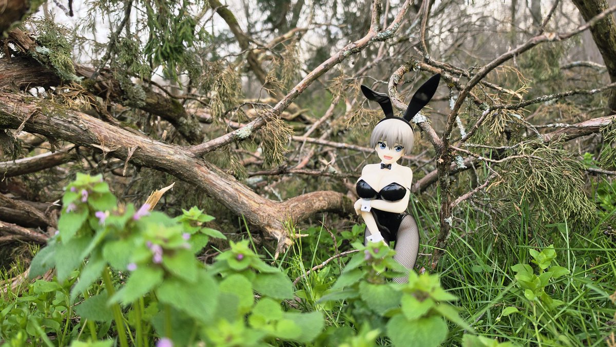 Sasha ひ 🍈 🗡️🔞🫙 (Goonlator) tweet media