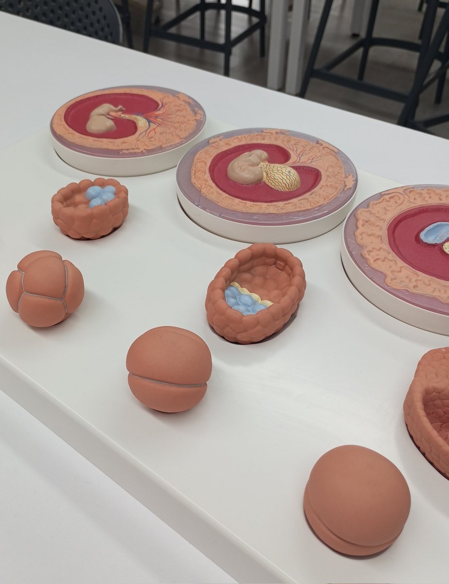 natalie 𖹭 ݁ ˖༄ tweet media