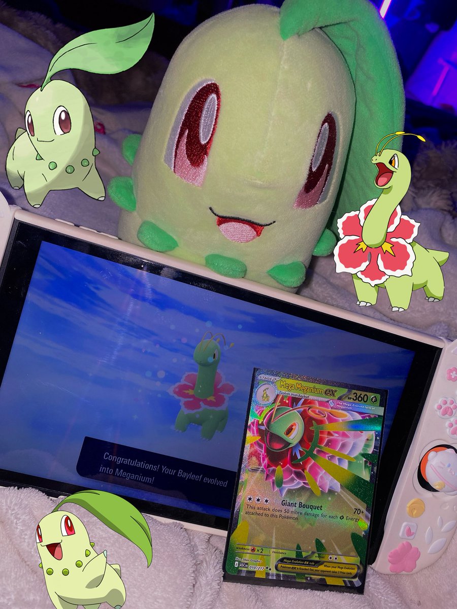 Kami 🌸 tweet media