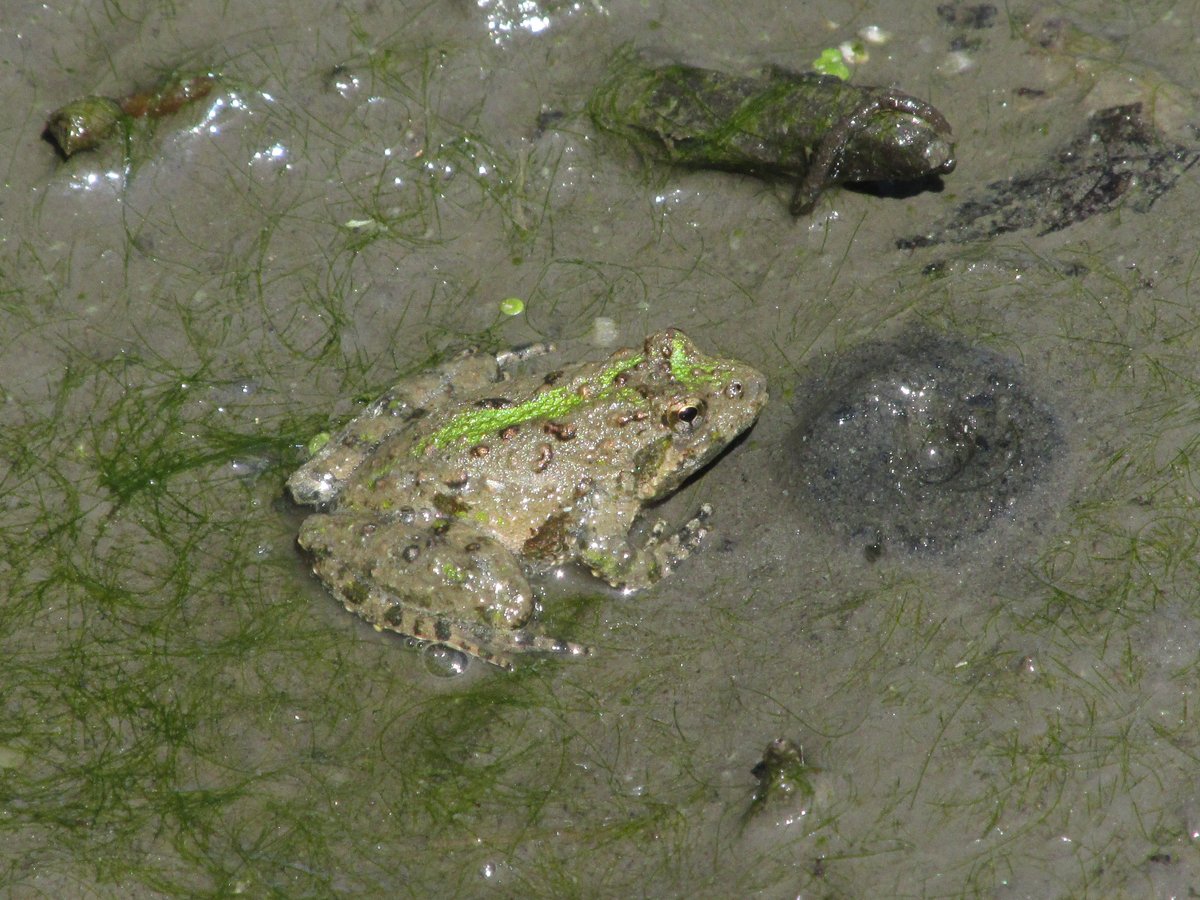 Minnesota Department of Transportation tweet media