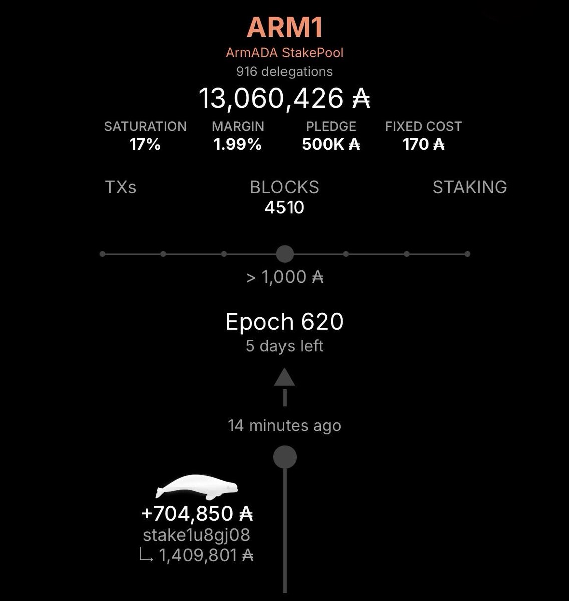 艦隊 - ArmADA Stake Pool - ARM1 tweet media