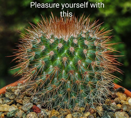 eggplantsniper tweet media