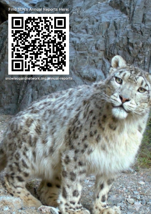Snow Leopard Network tweet media