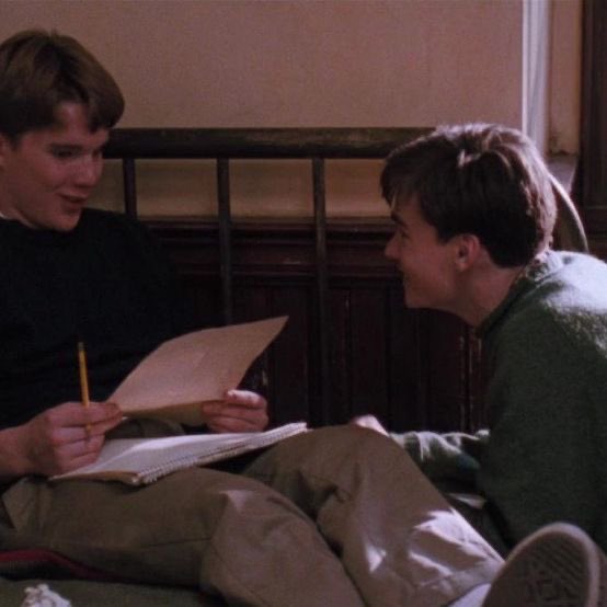 alex 🍉 tweet media