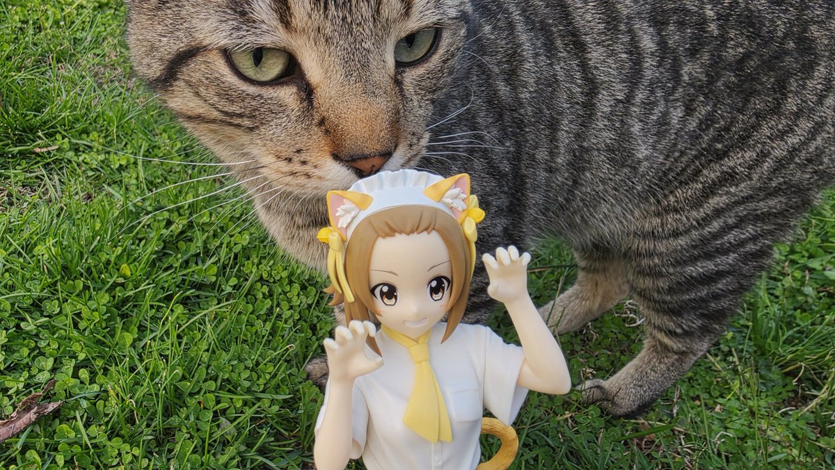 Sasha ひ 🍈 🗡️🔞🫙 (Goonlator) tweet media