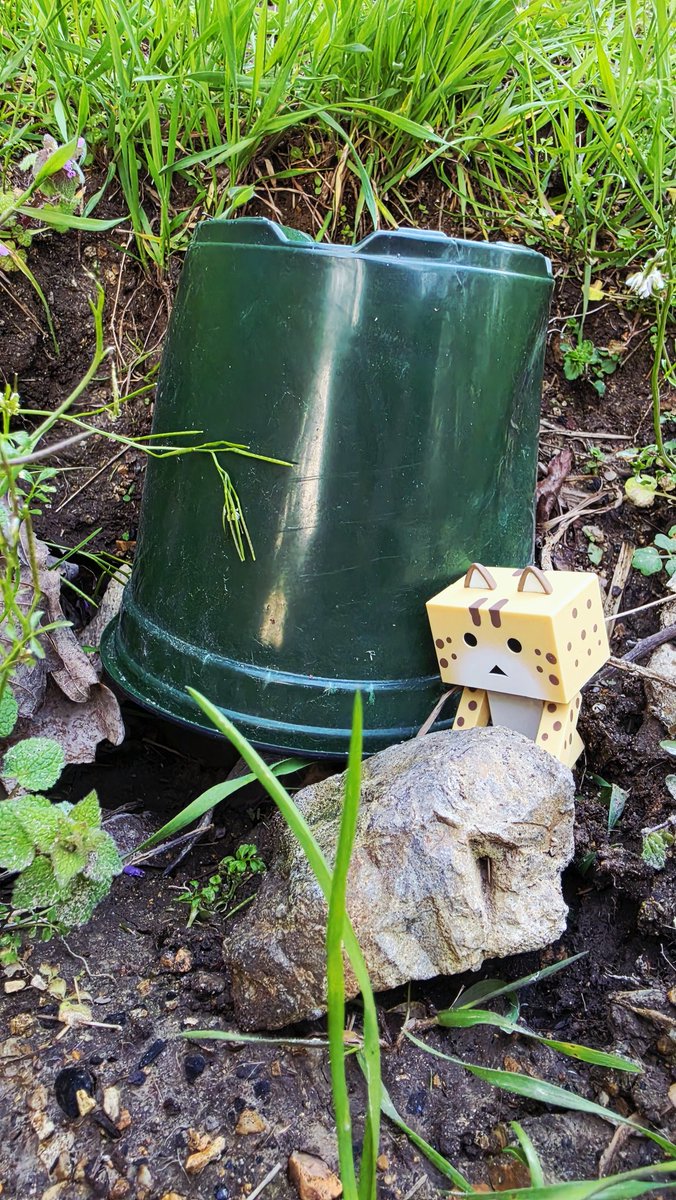 Sasha ひ 🍈 🗡️🔞🫙 (Goonlator) tweet media