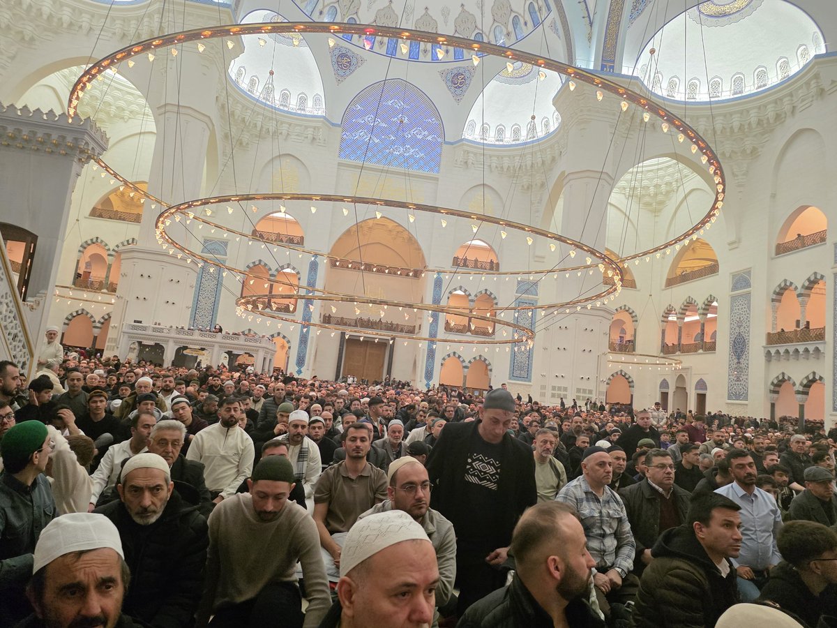 sabri okur tweet media