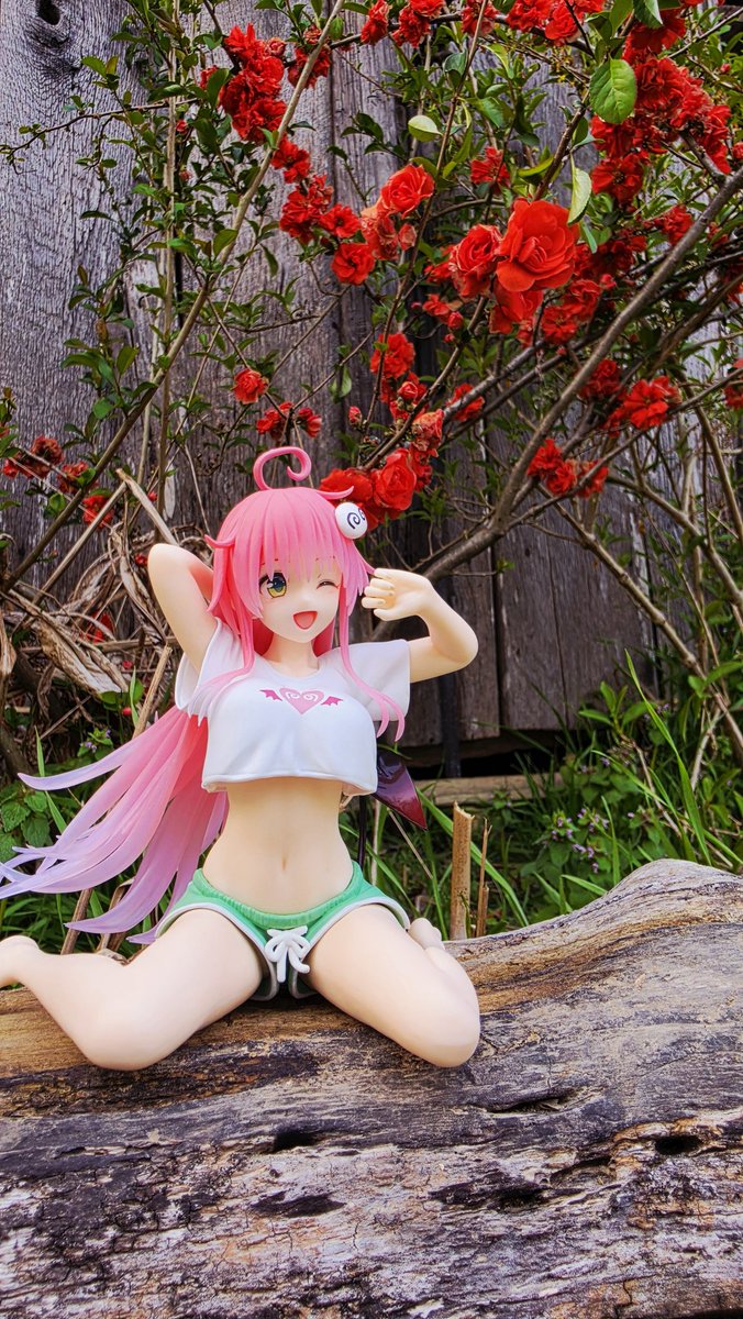 Sasha ひ 🍈 🗡️🔞🫙 (Goonlator) tweet media