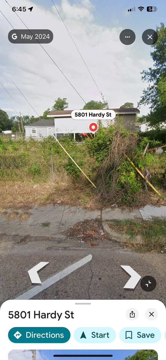 Frog Life tweet media