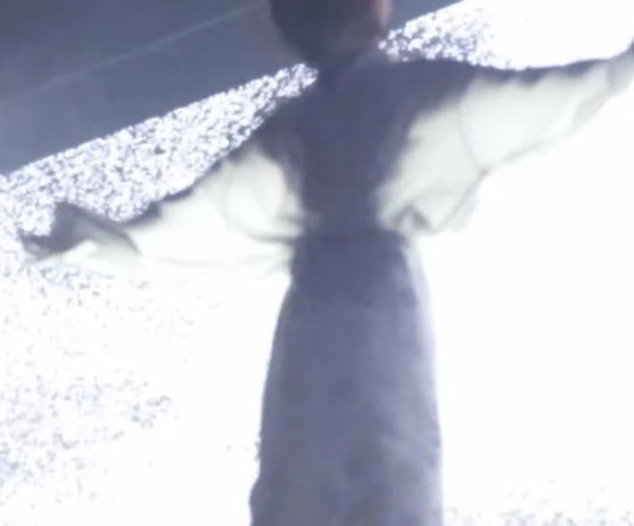 나또리 tweet media