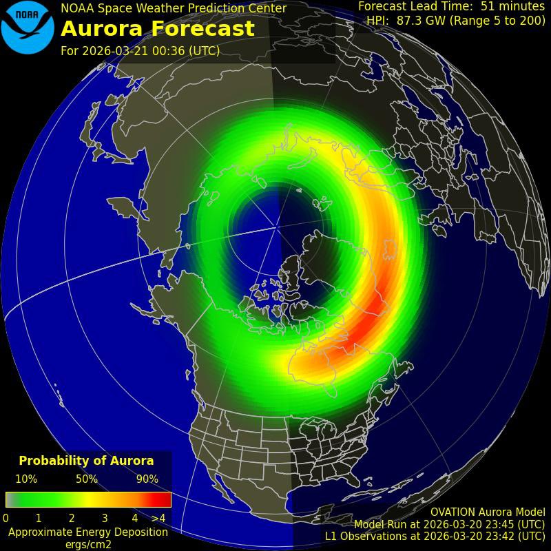Ryan🌪️ tweet media