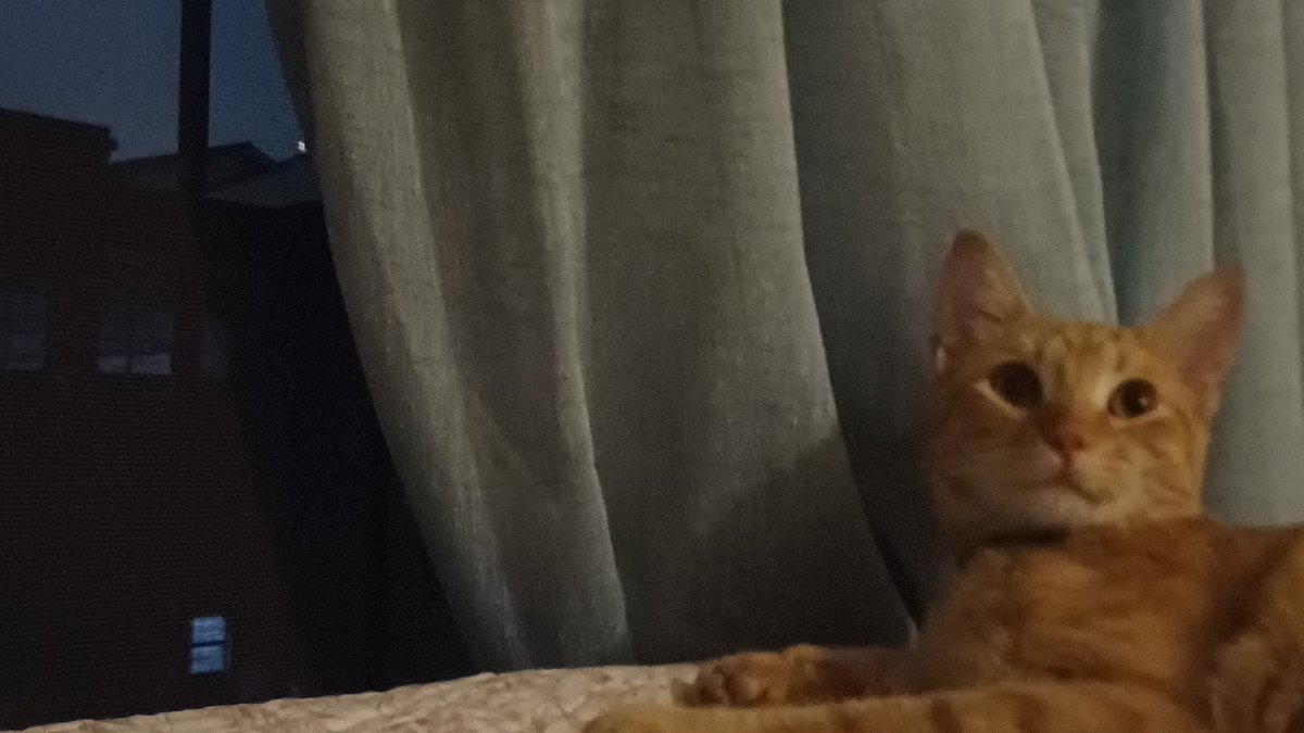 cam 🪩 tweet media