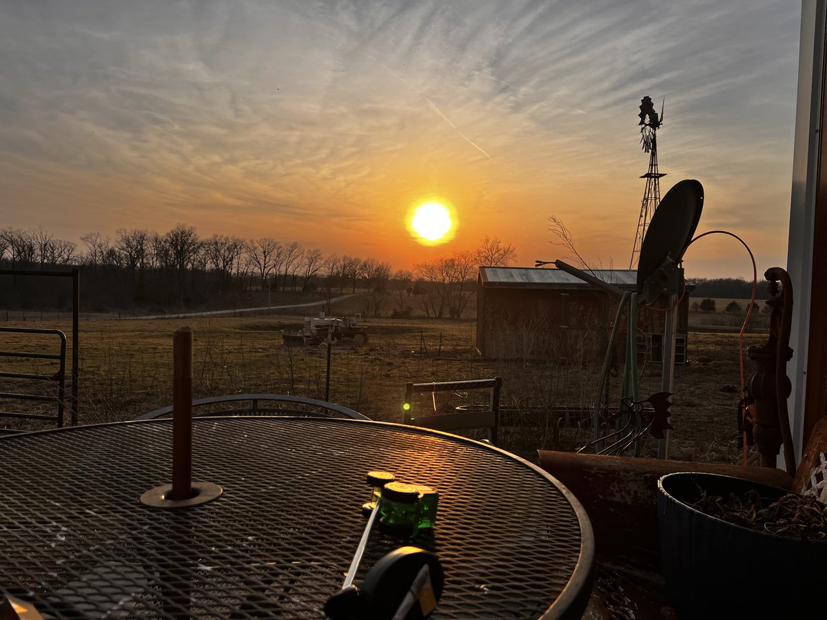 🦎TwistedSister 🇺🇸 tweet media