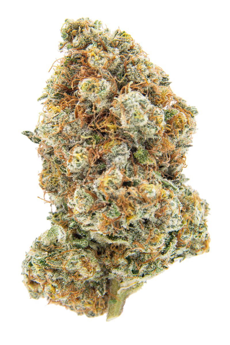 Oakfruitland tweet media