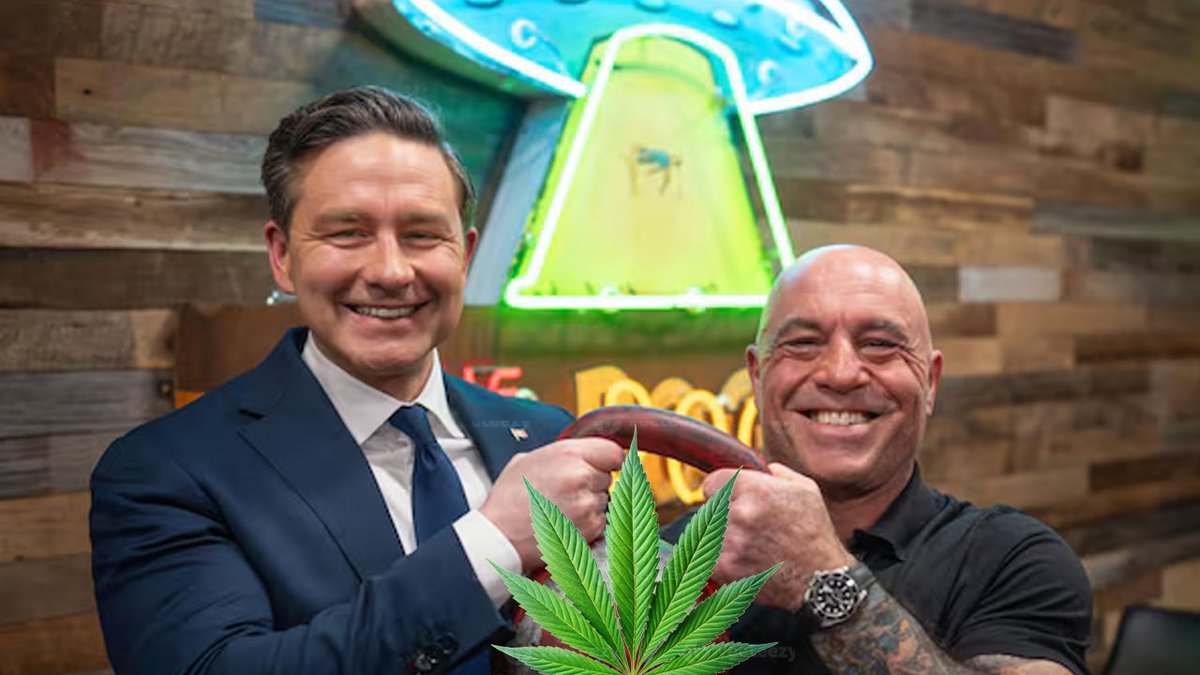 Cannabis Culture tweet media