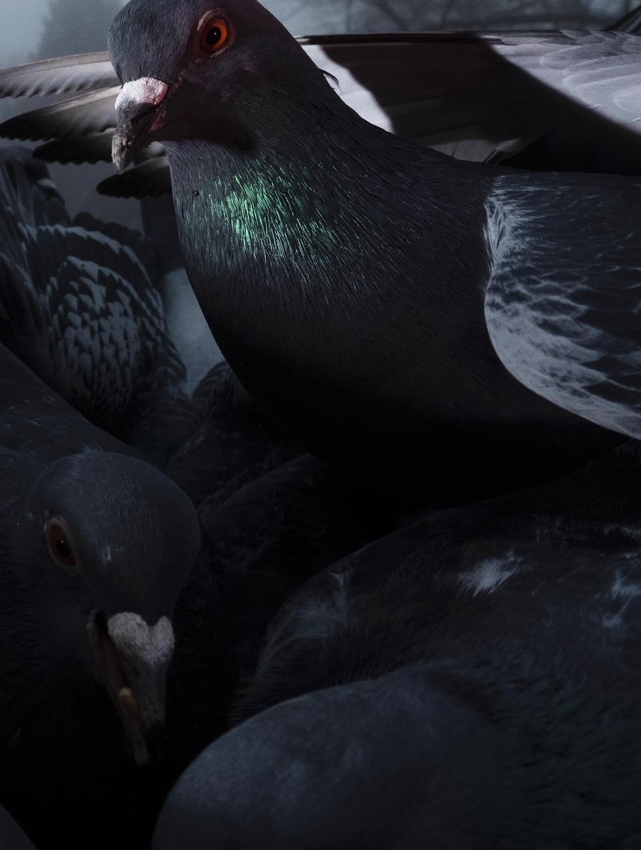 Composition tweet media