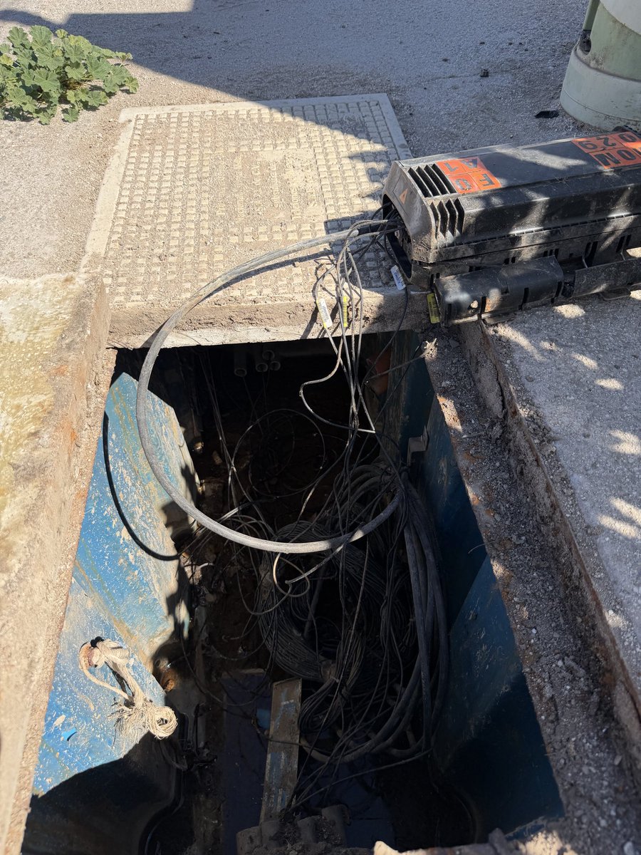 El Gatho tweet media