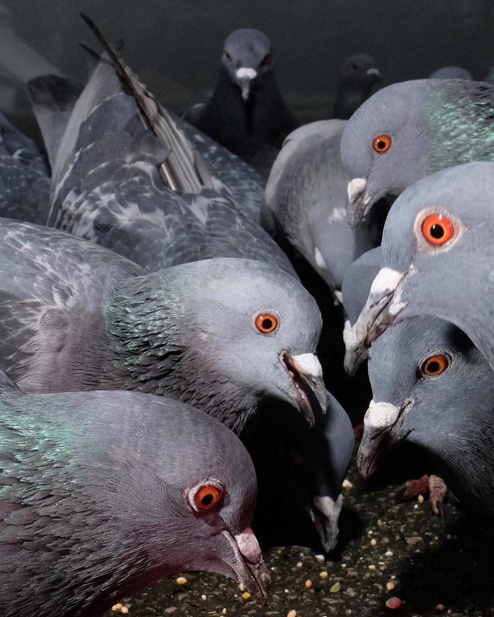 Composition tweet media