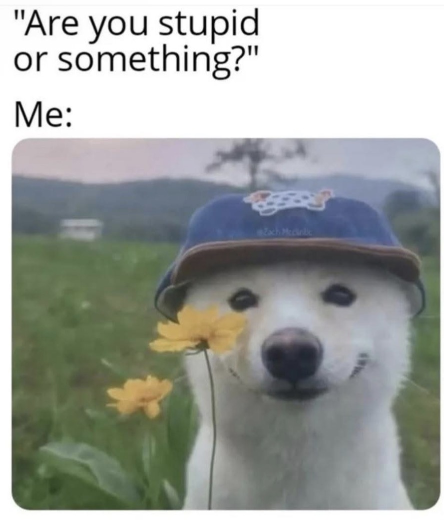 Respectful Memes (@respectfulmemes) on Twitter photo 