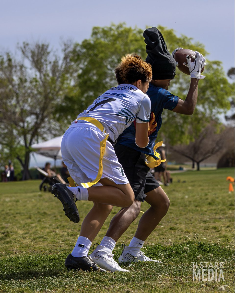 Noah Matthews tweet media