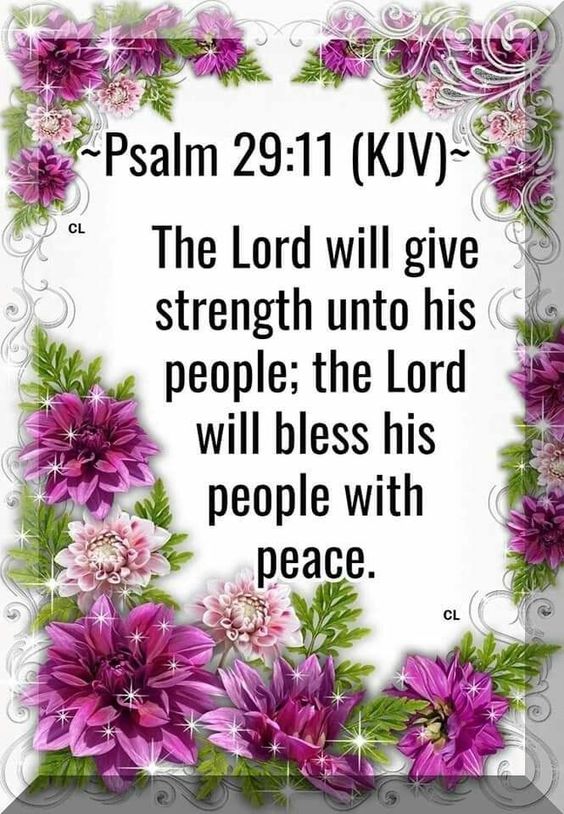 Wendy W ✝️💐🌿🌷🌿🌷🌿🌷 tweet media