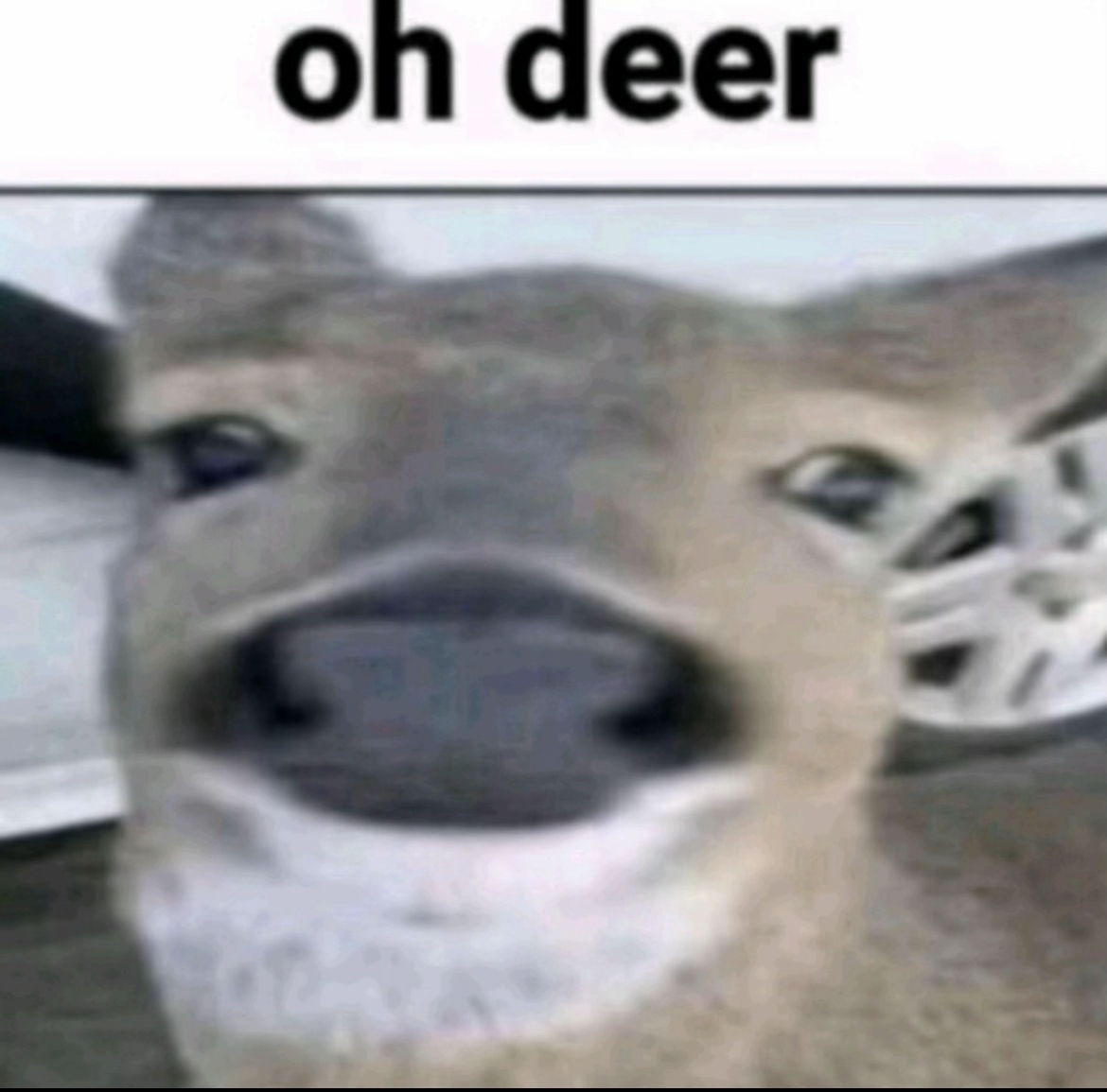 My honest reaction to #tadc ep 8