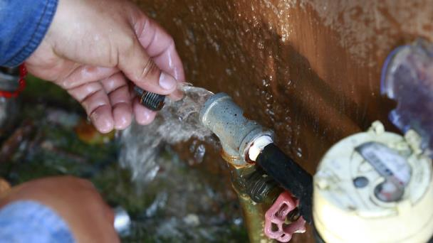 Canal 44 tweet media