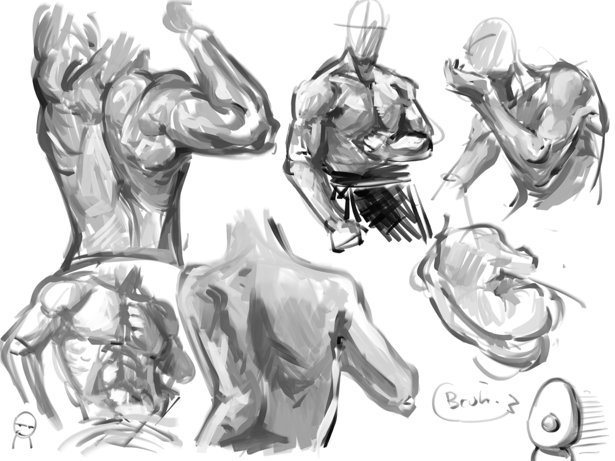 Avocado53 tweet media