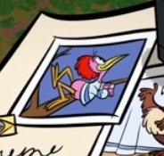 ARACUAN 🔥🔥🔥🔥