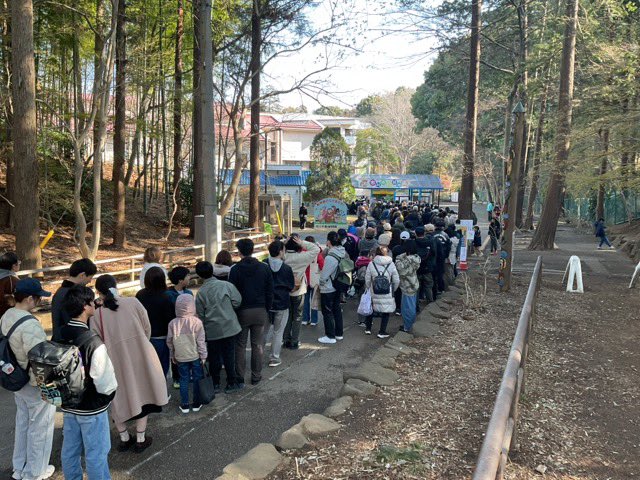 3/21(土)8:50
おはようございます。
今日の市川市大町は爽やかな陽気です。
動物と皆様の安全のため、課題に順次対応します。

早速で恐縮ですが、昨日、開門と同時に
多勢の方がサル山に走って向かっていました。
危険ですし動物たちも驚くのでおやめください。

#市川市動植物園